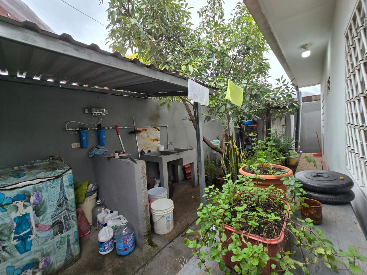 a0f66f33-21cb-4695-9fa0-bcc889c38404