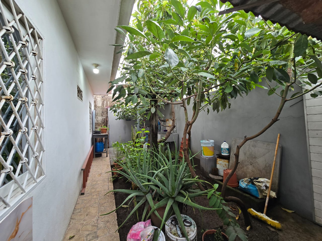 c32c9971-70da-427a-9889-cc4aafd7e30f