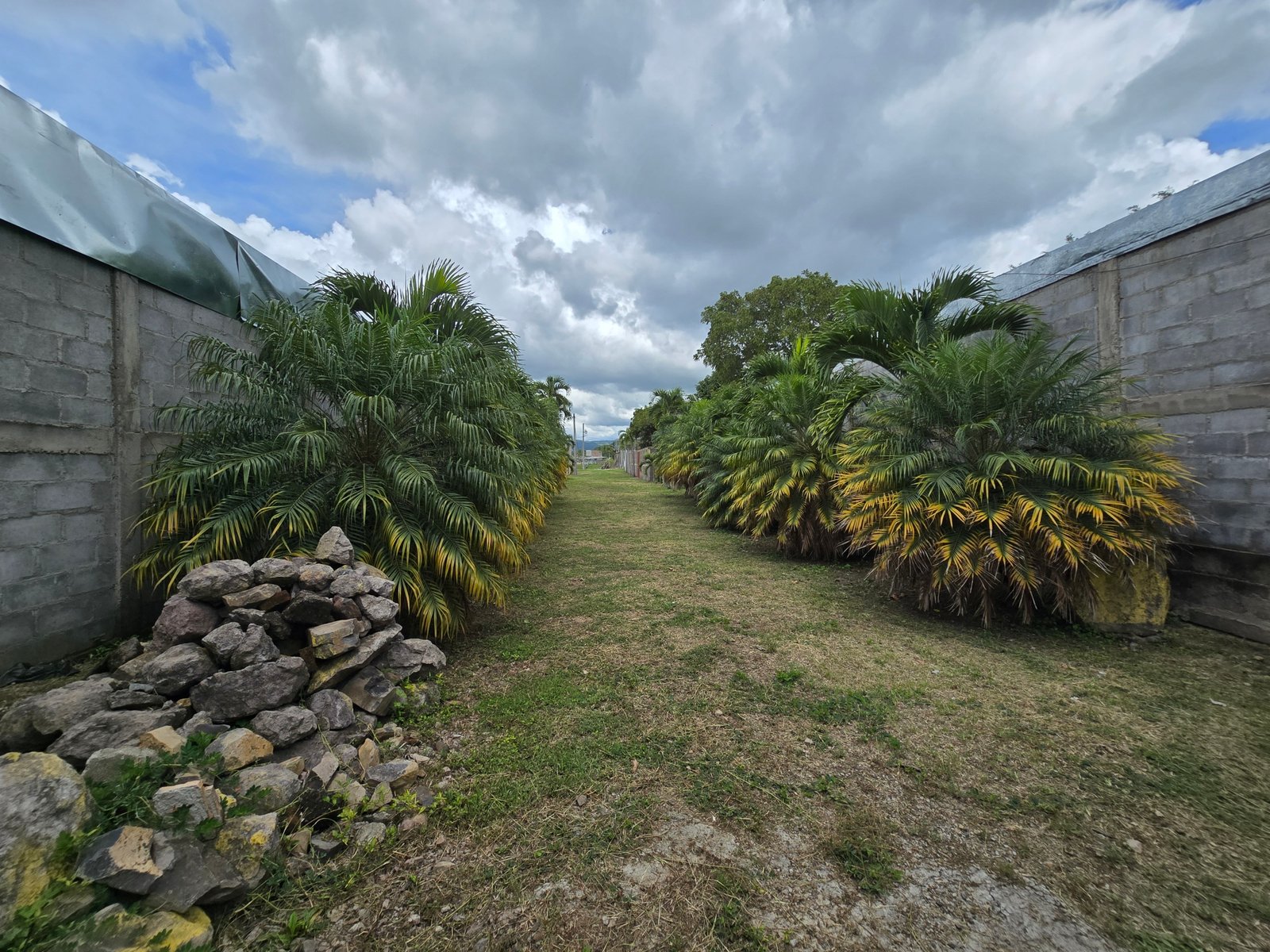 Venta de Terrenos contiguo a Click Food Park en Esteli