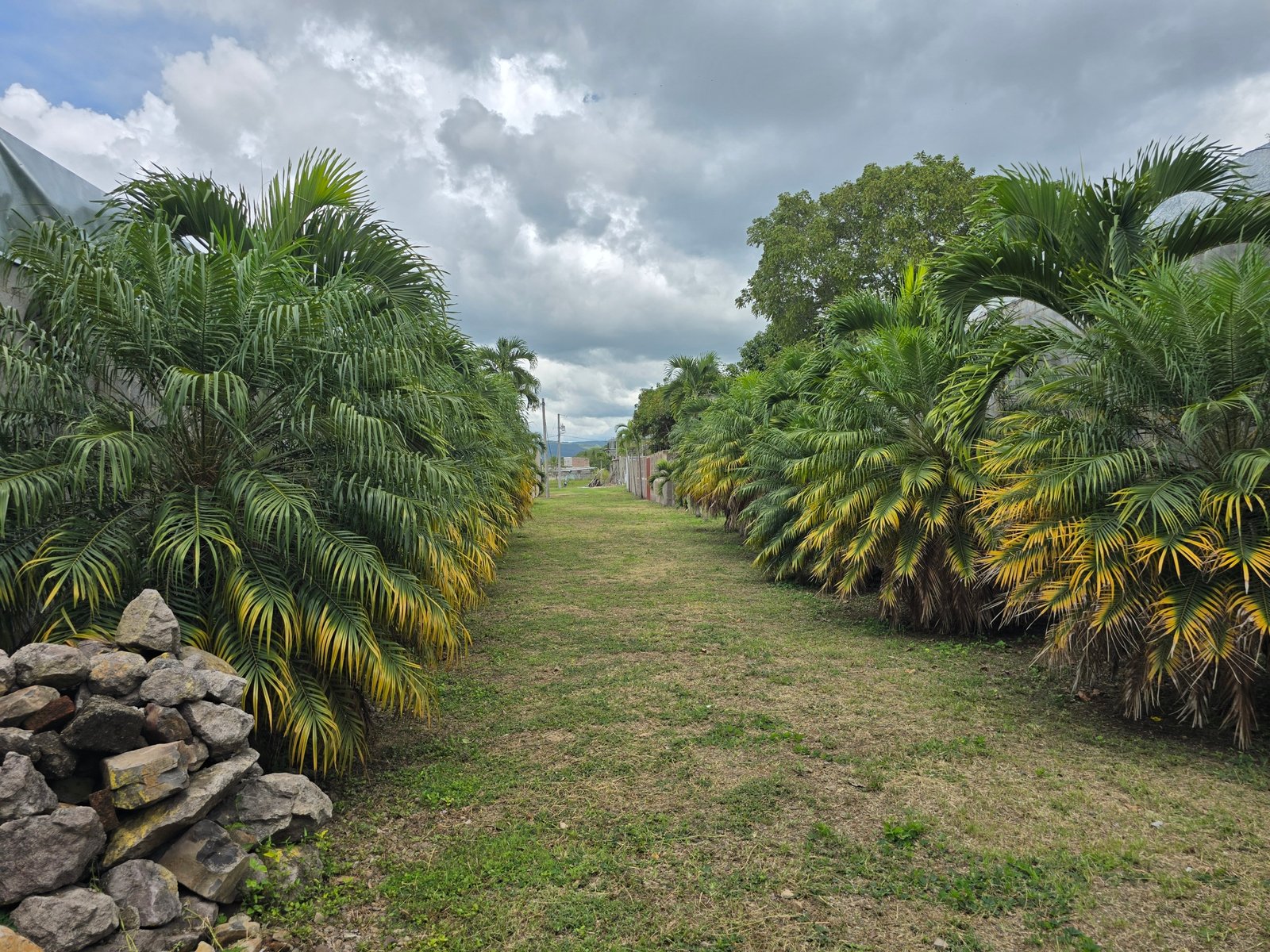 Venta de Terrenos contiguo a Click Food Park en Esteli